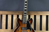 Dangelico Premier Mini DC Brown Burst-2.jpg